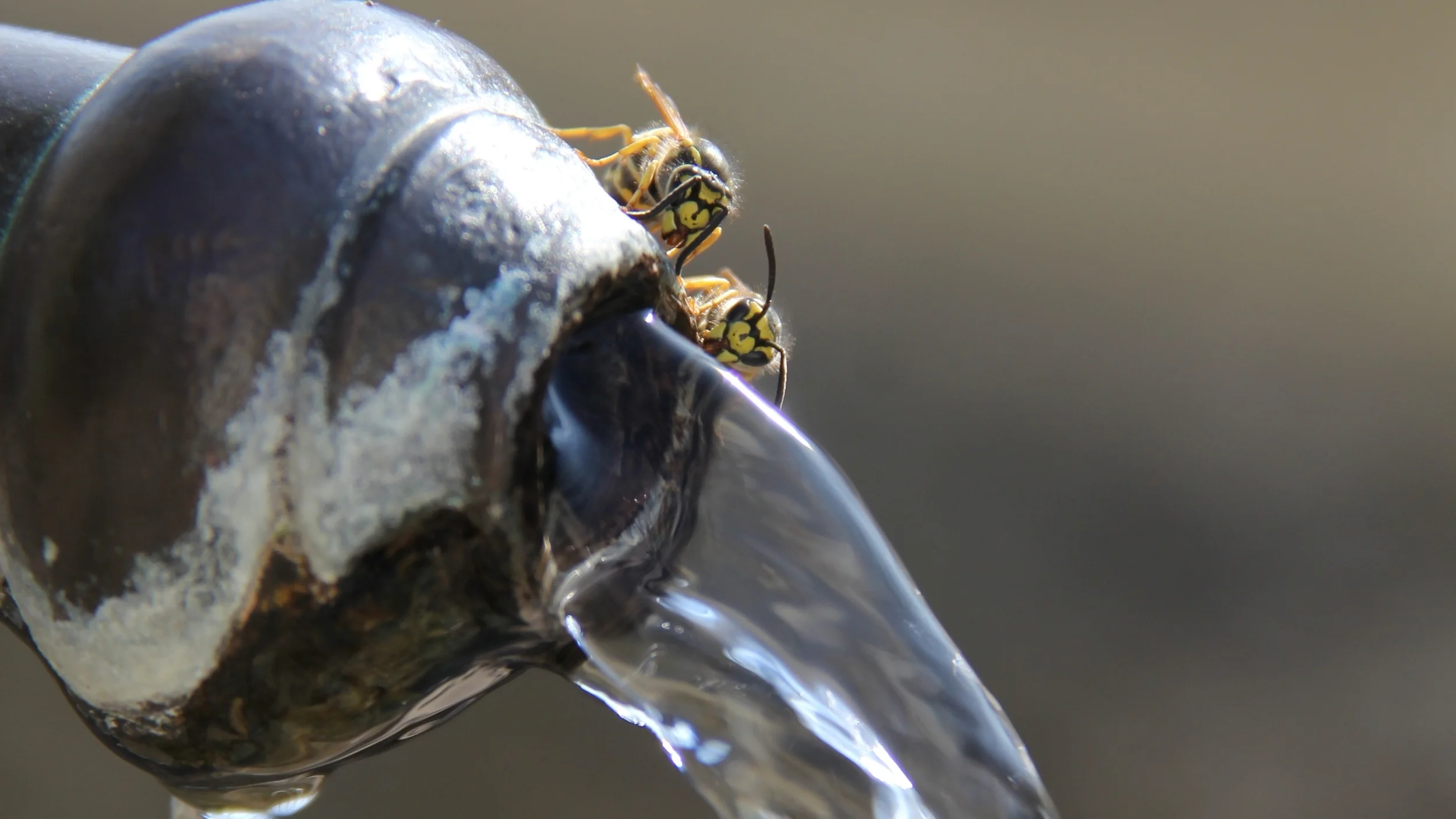 ewl energie wasser luzern