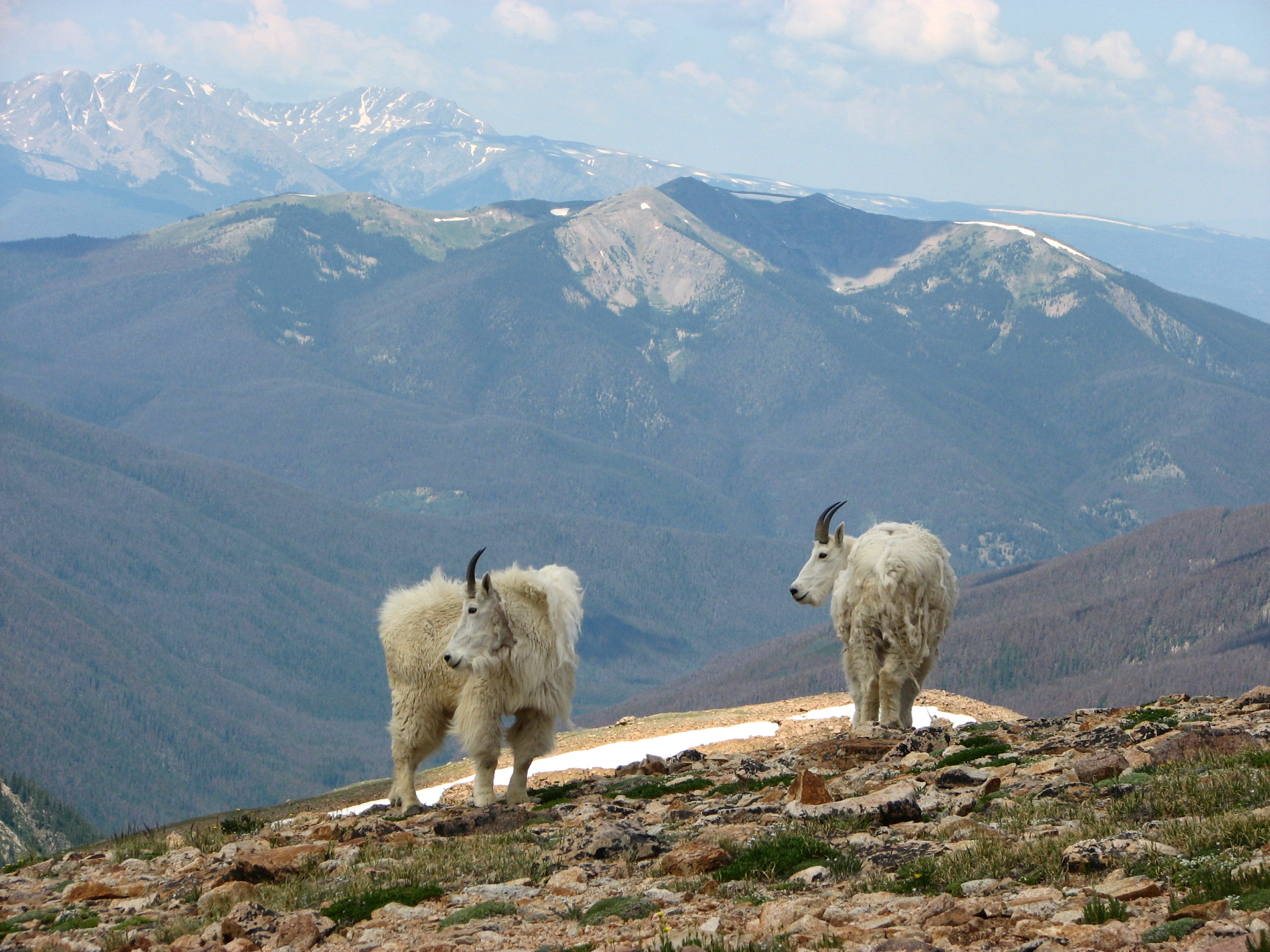 Credit: Jeff Drahota / USFWS