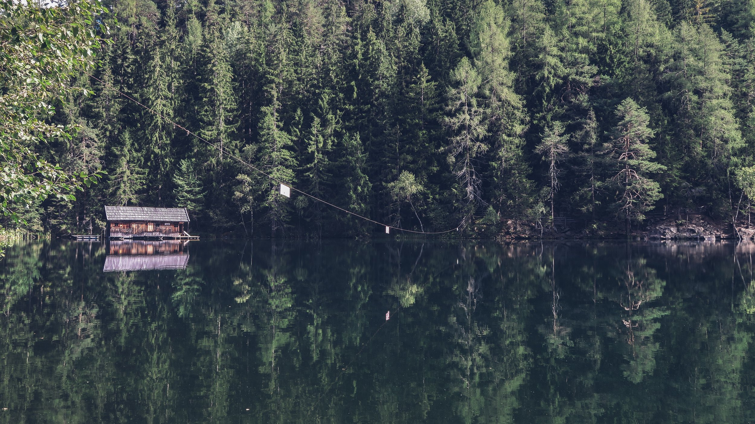 Reflection: Overcoming Failure & Adversity