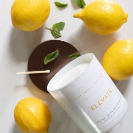Soy Society Wellness