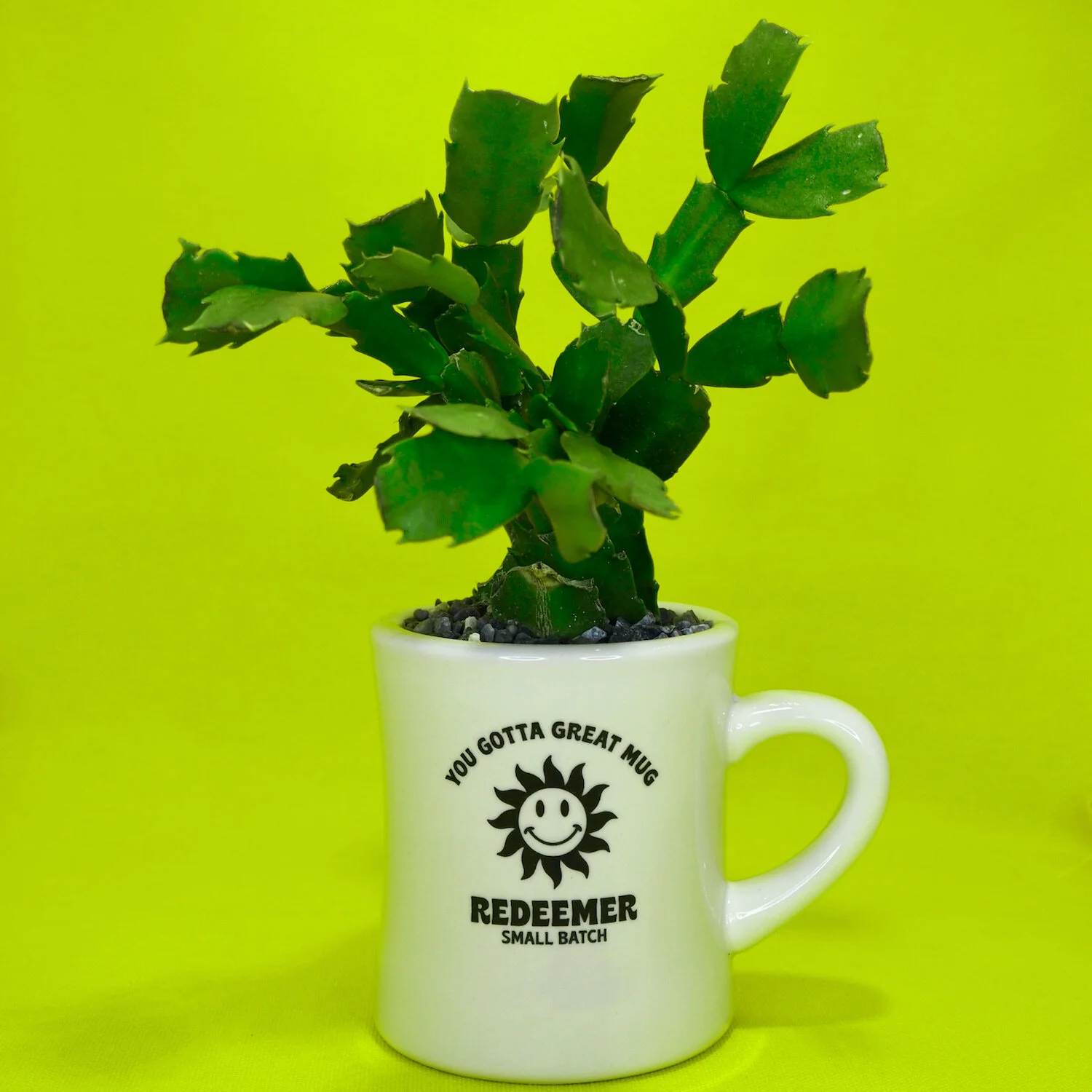 plant_mug - Bailey Weickum.JPG