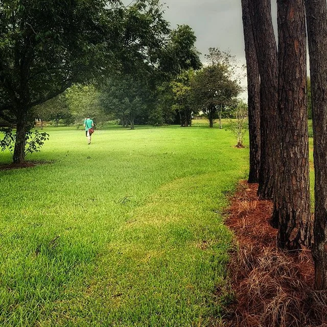 Pearland, we fed your mosquitoes. Your welcome. #discgolf