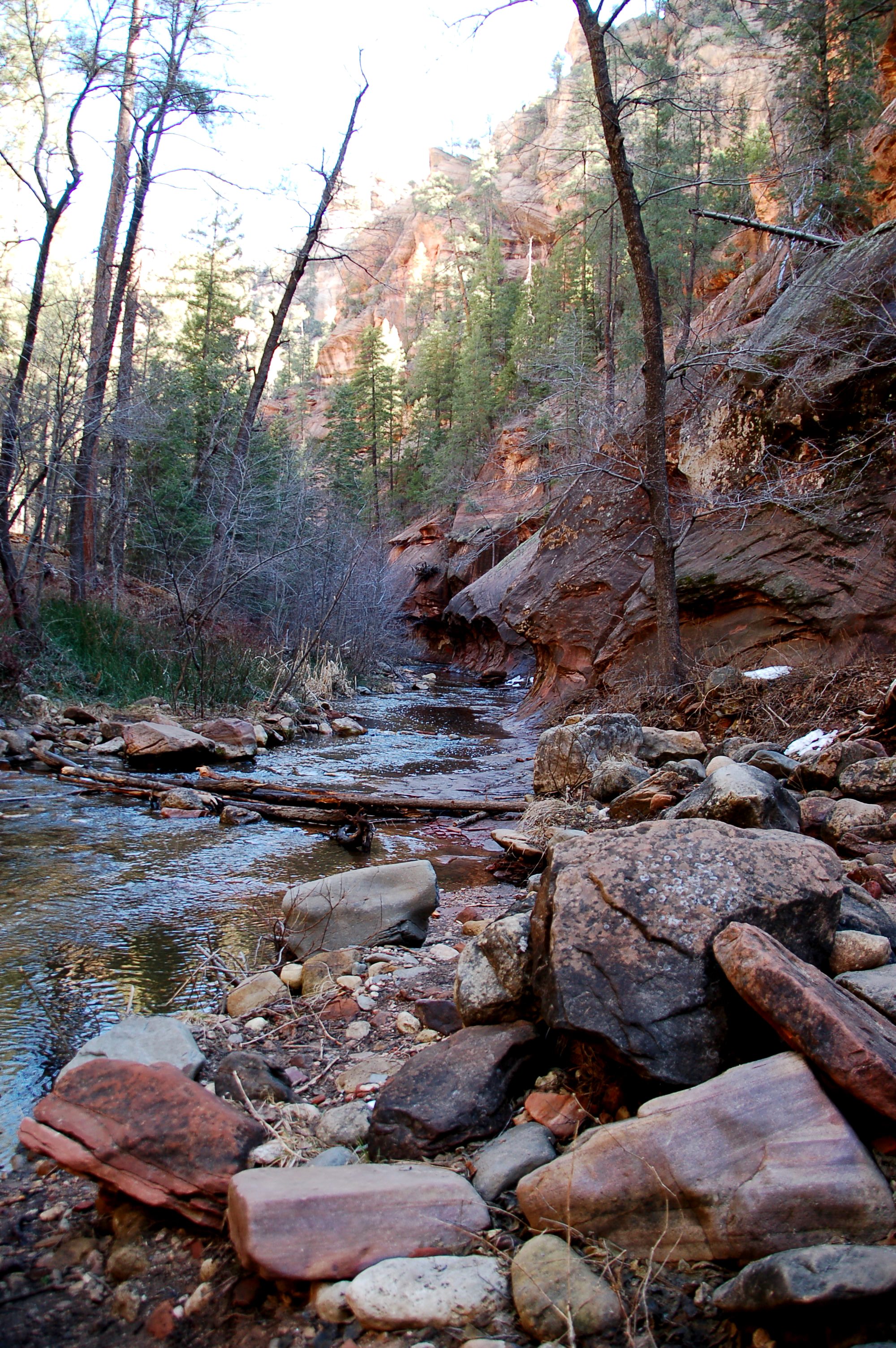 West Fork Trail in Sedona