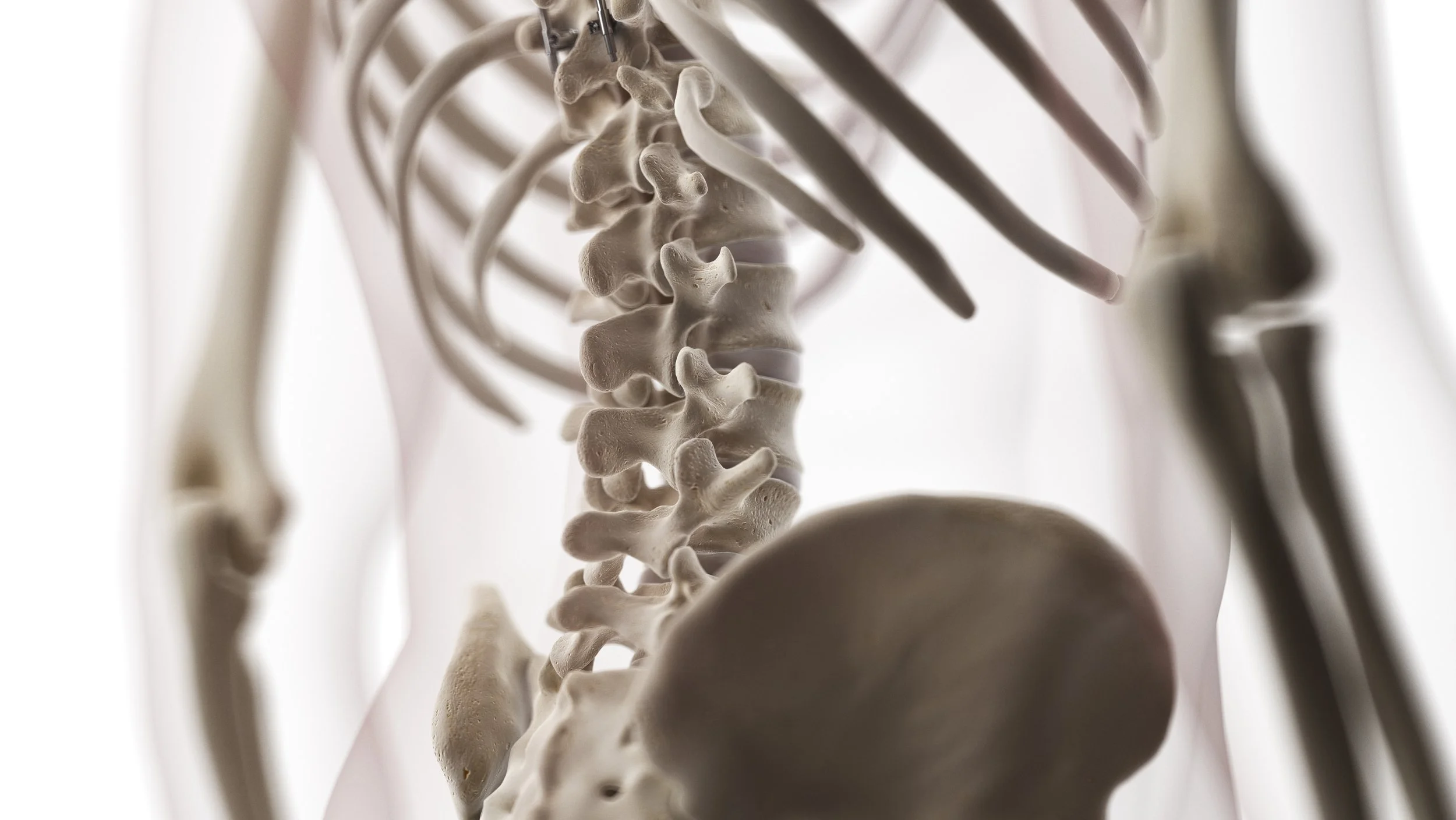 hip-pain-chiropractor-totowa-nj.jpeg