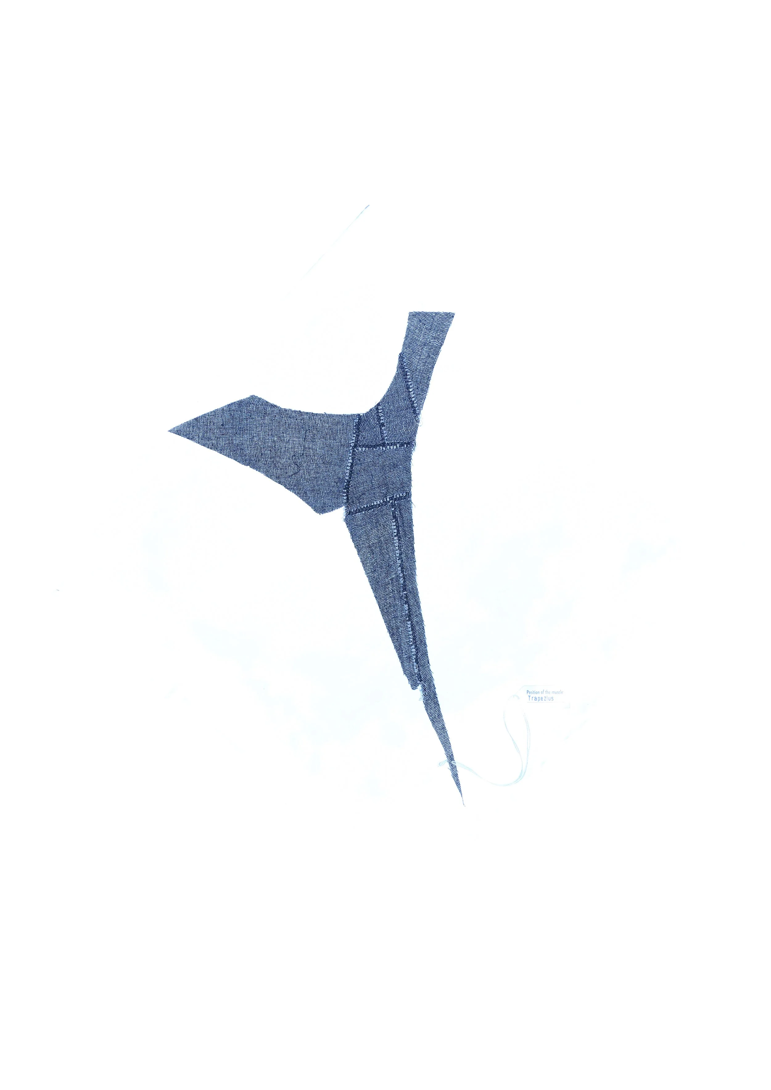 Per pj1-b_Gauze muscle pattern_0000_BH4A3753.jpg