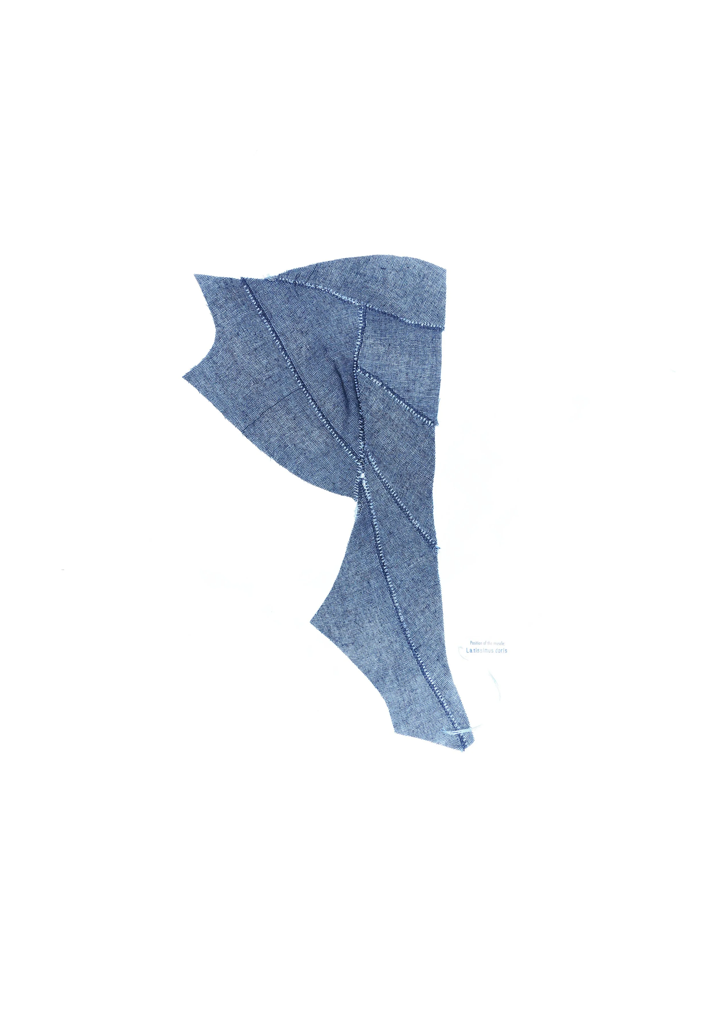 Per pj1-b_Gauze muscle pattern_0011_BH4A3752.jpg