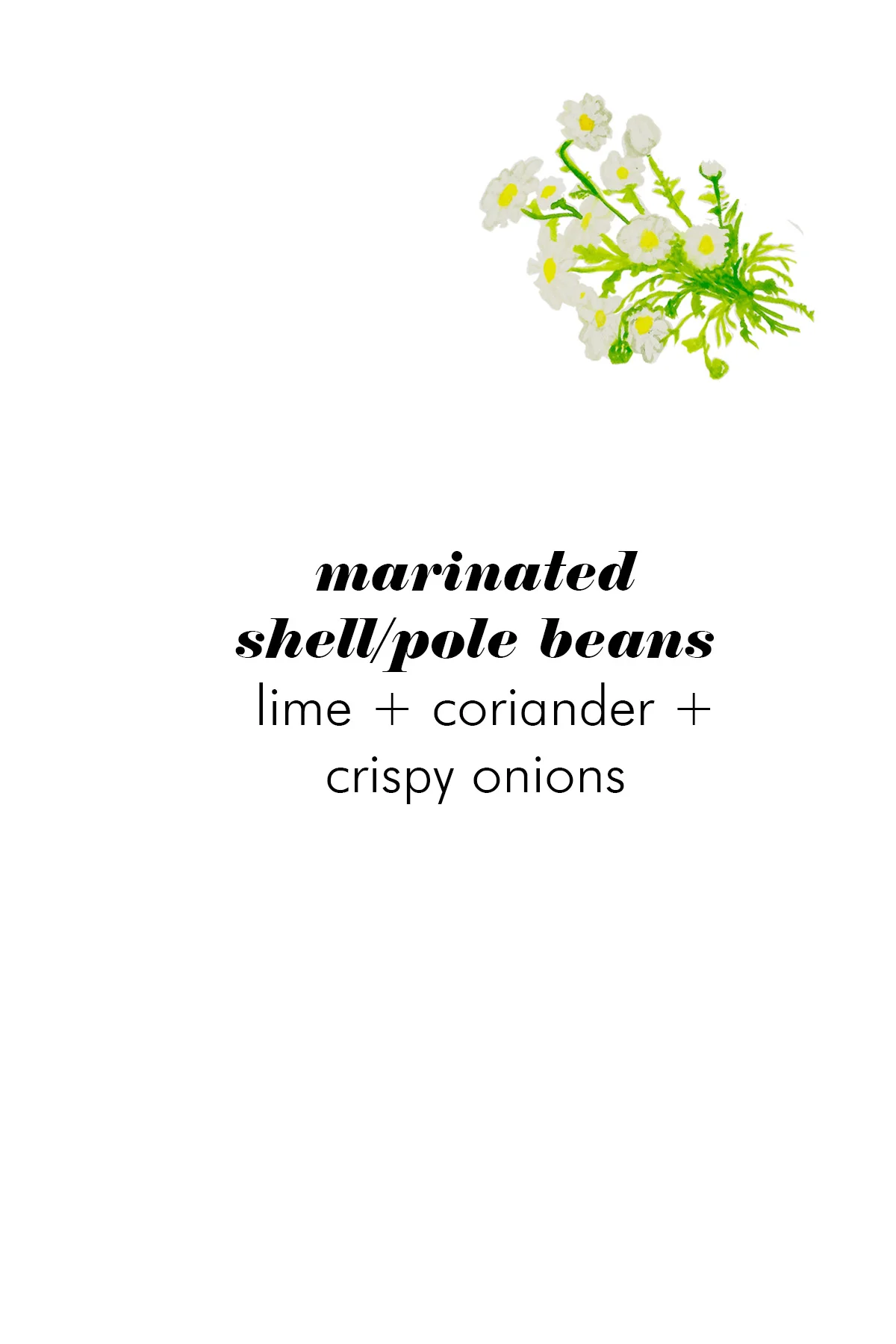 Card_05_Sides1.jpg