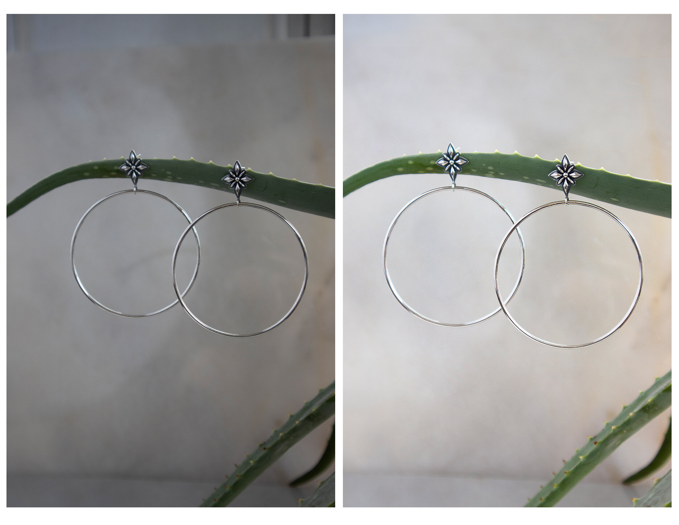 cactus-hoops.jpg