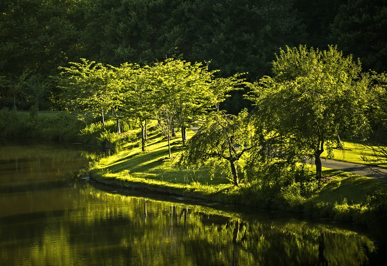 environmental-commitment-the-printing-post.jpg