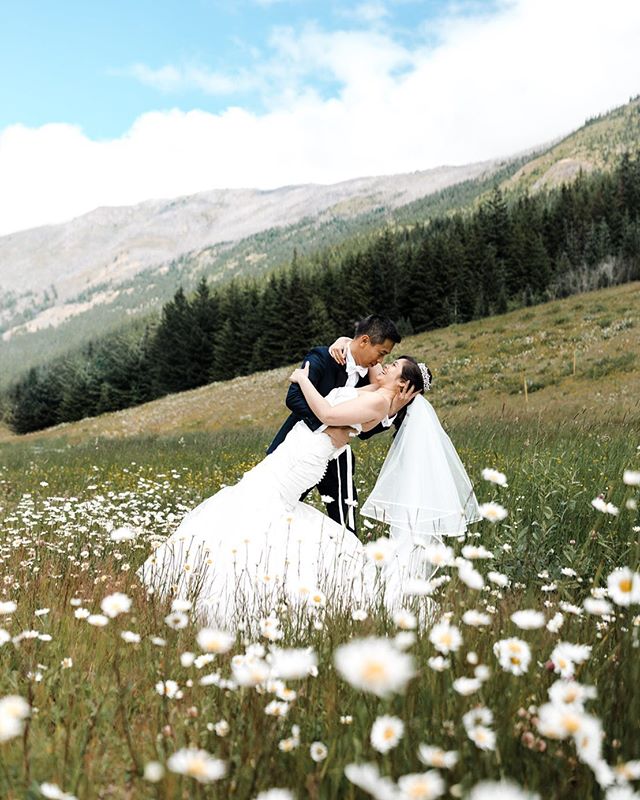 Can&rsquo;t wait to share more of Linda + Minh&rsquo;s beautiful wedding! Guests from near and far travelled to shower this couple with love! Such an incredible weekend!! ✨