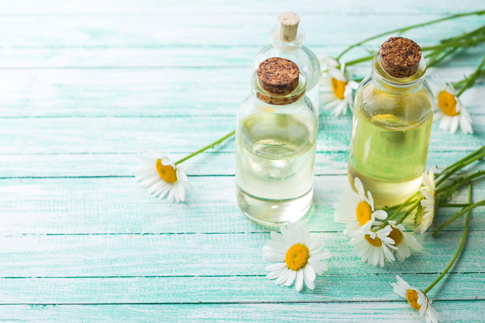 daisy essential oils_M.jpg