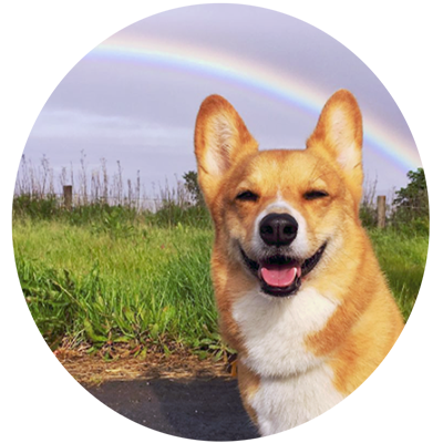 teddy_NewPic_forWeb.png