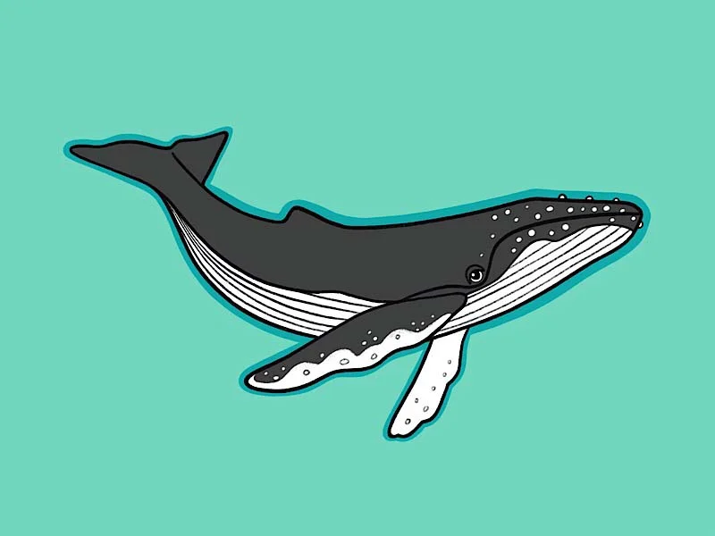 MarcyMoji Whale Sticker 