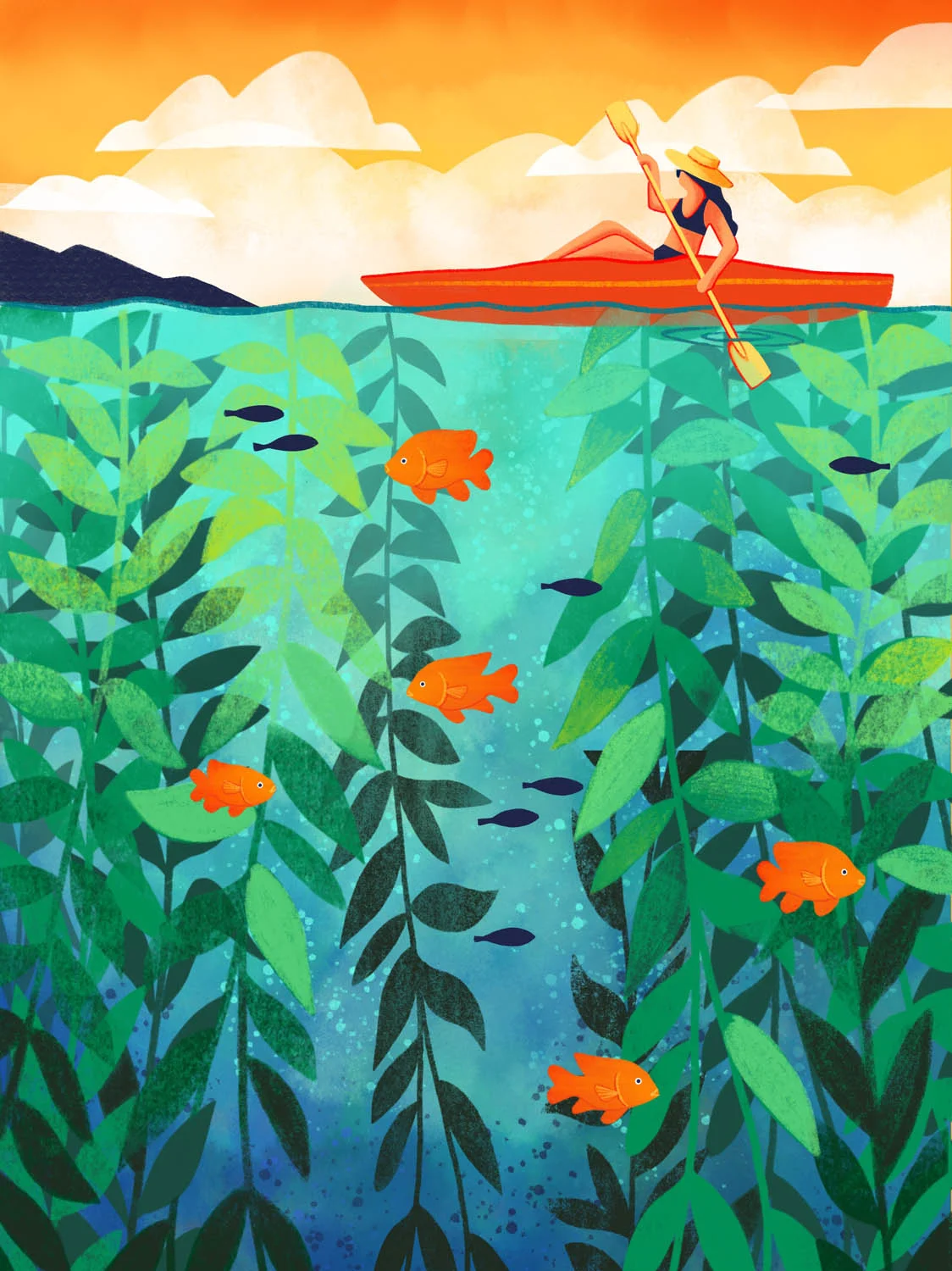 catalina kayaking.jpeg