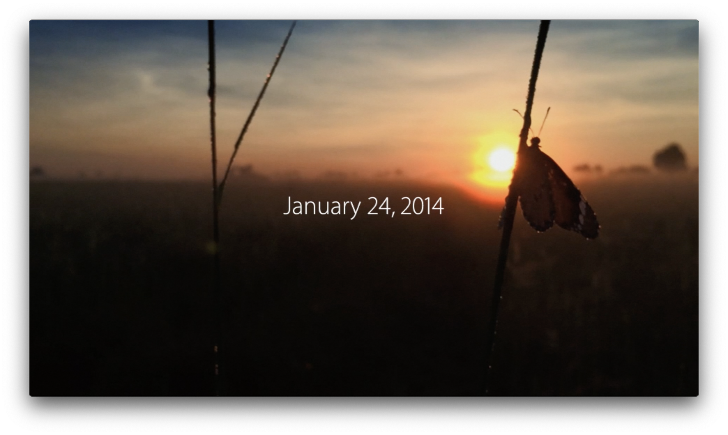 Screen Shot 2019-11-30 at 12.20.04 PM.png