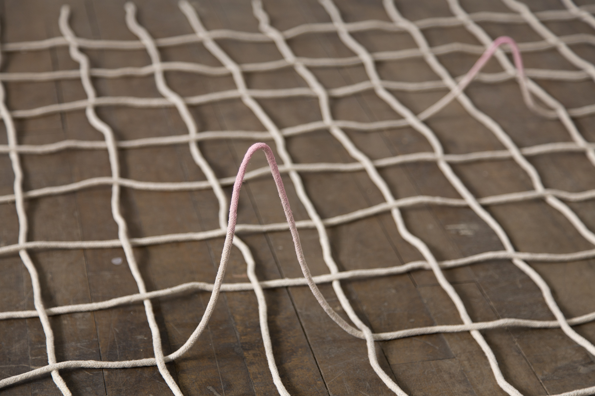 Five Pink Blips (detail), 2015