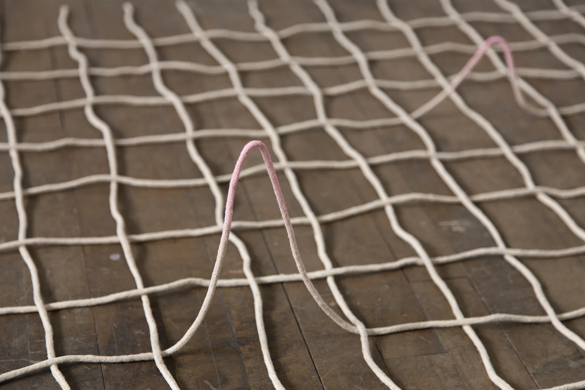 Five Pink Blips (detail), 2015