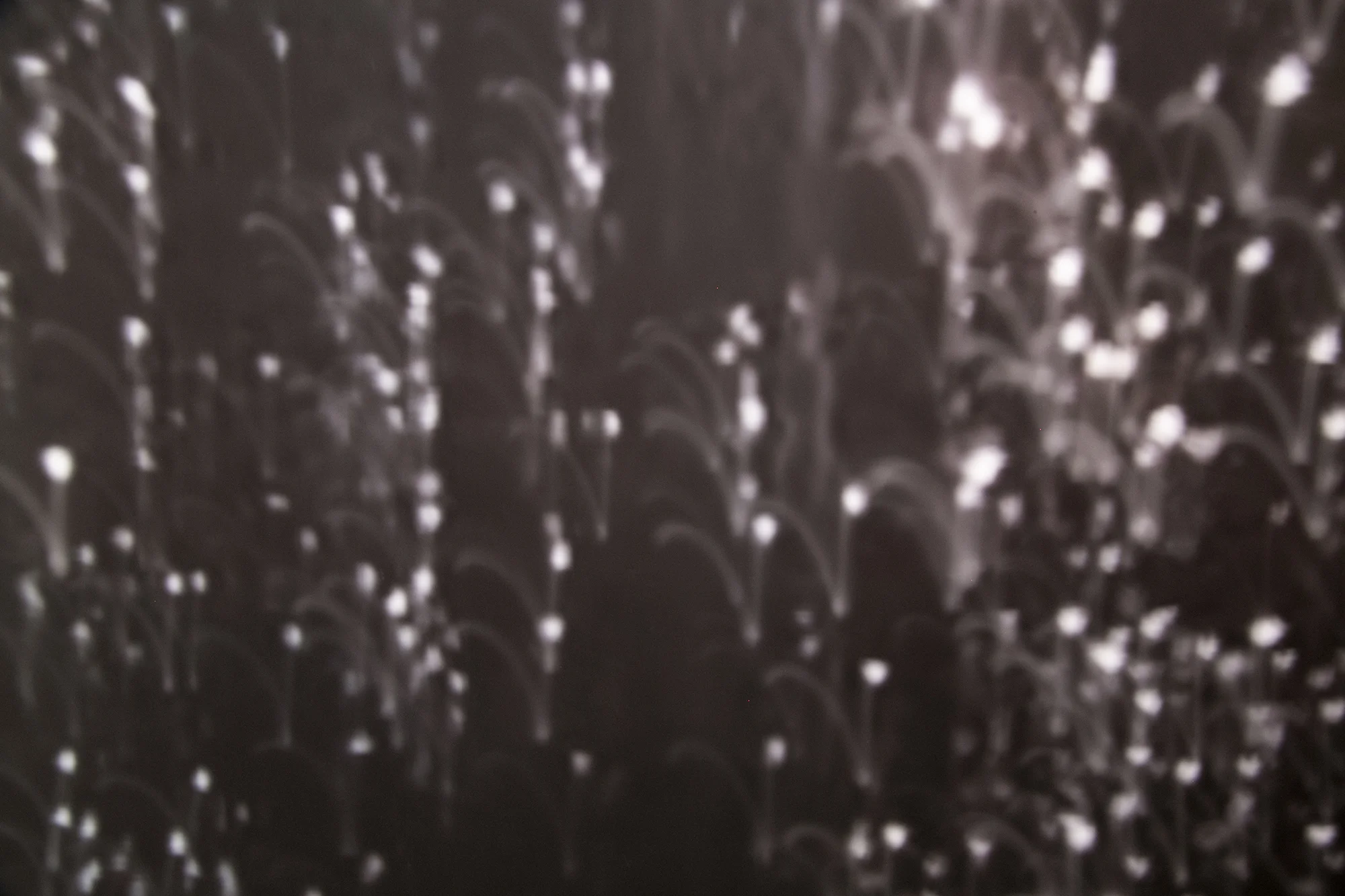 Lapse, 2014