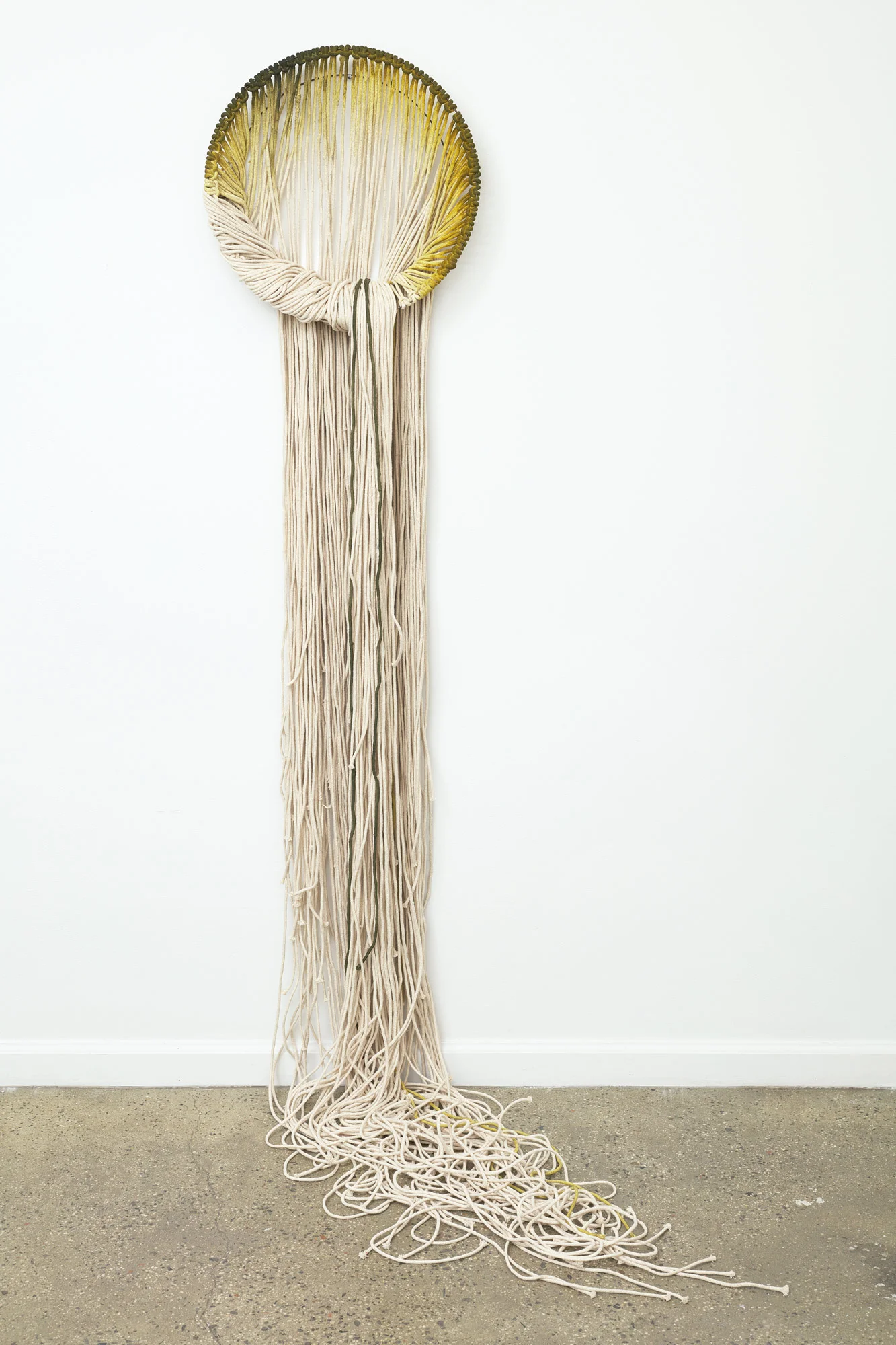 Maw - Bile, 2017