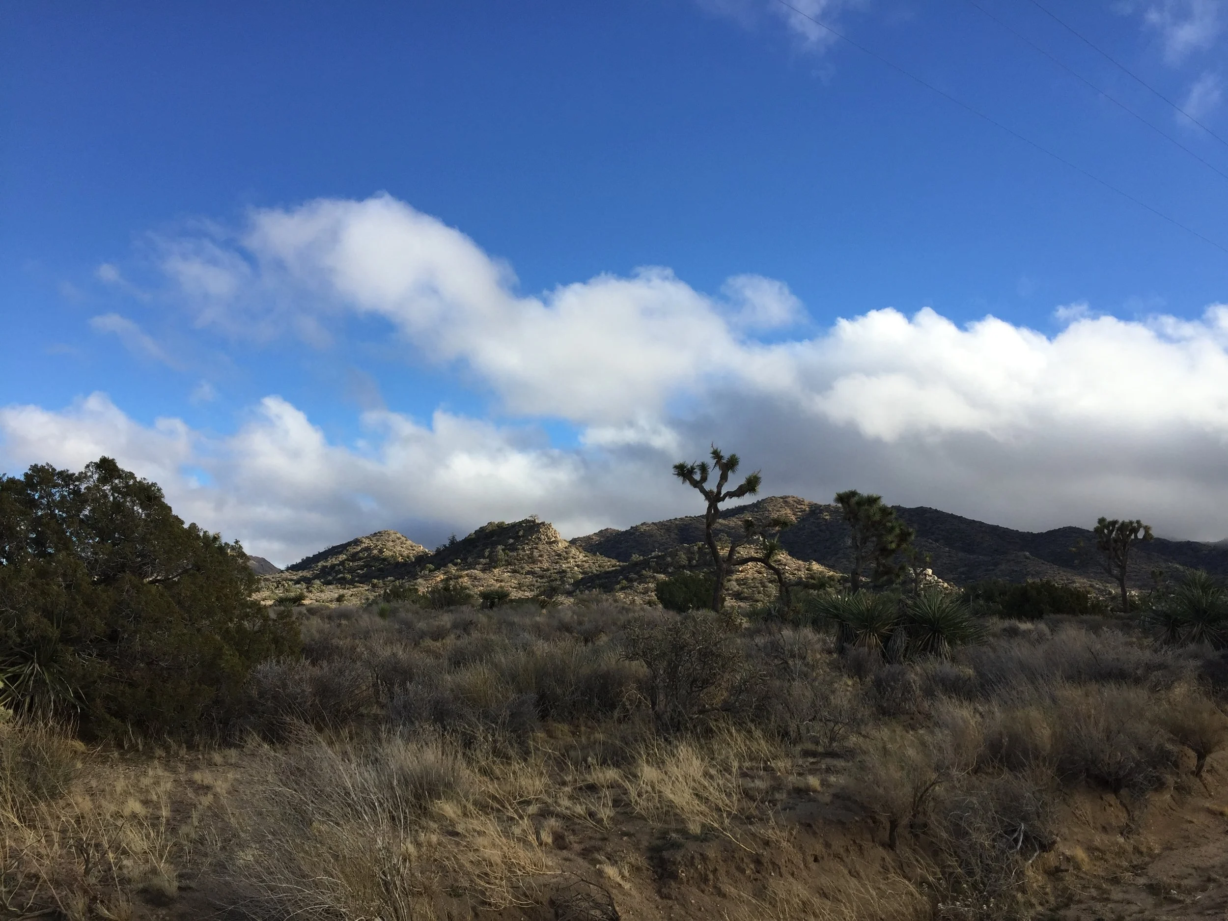 "How-To" Survive in the Desert 