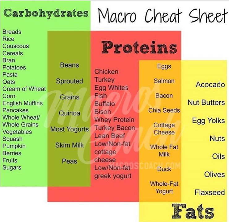 low carb low fat and high protein diet