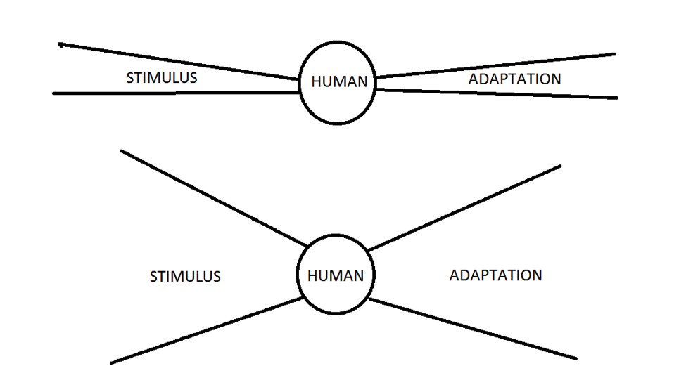 We improve more when we apply many stimuli to our training. 