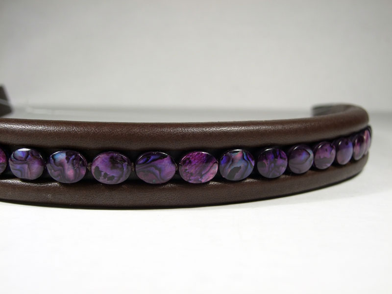 Purple Abalone