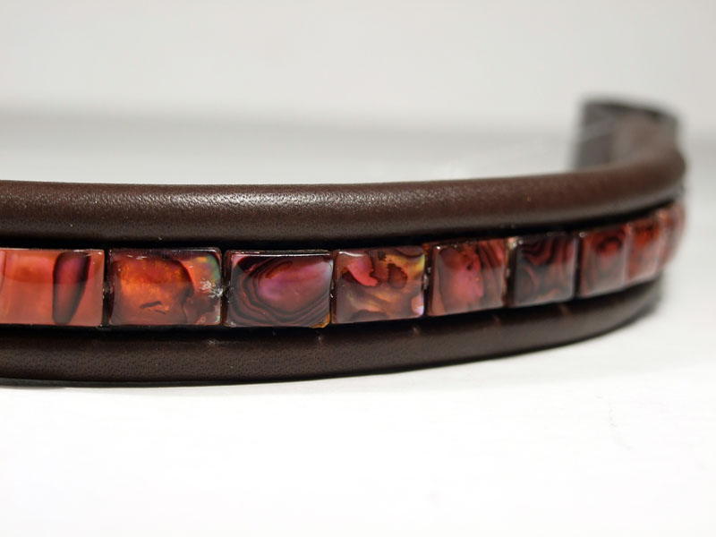 Fuchsia Abalone Close Up
