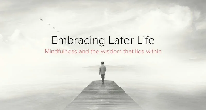 More Information, Same Confusion: The Midlife Paradox