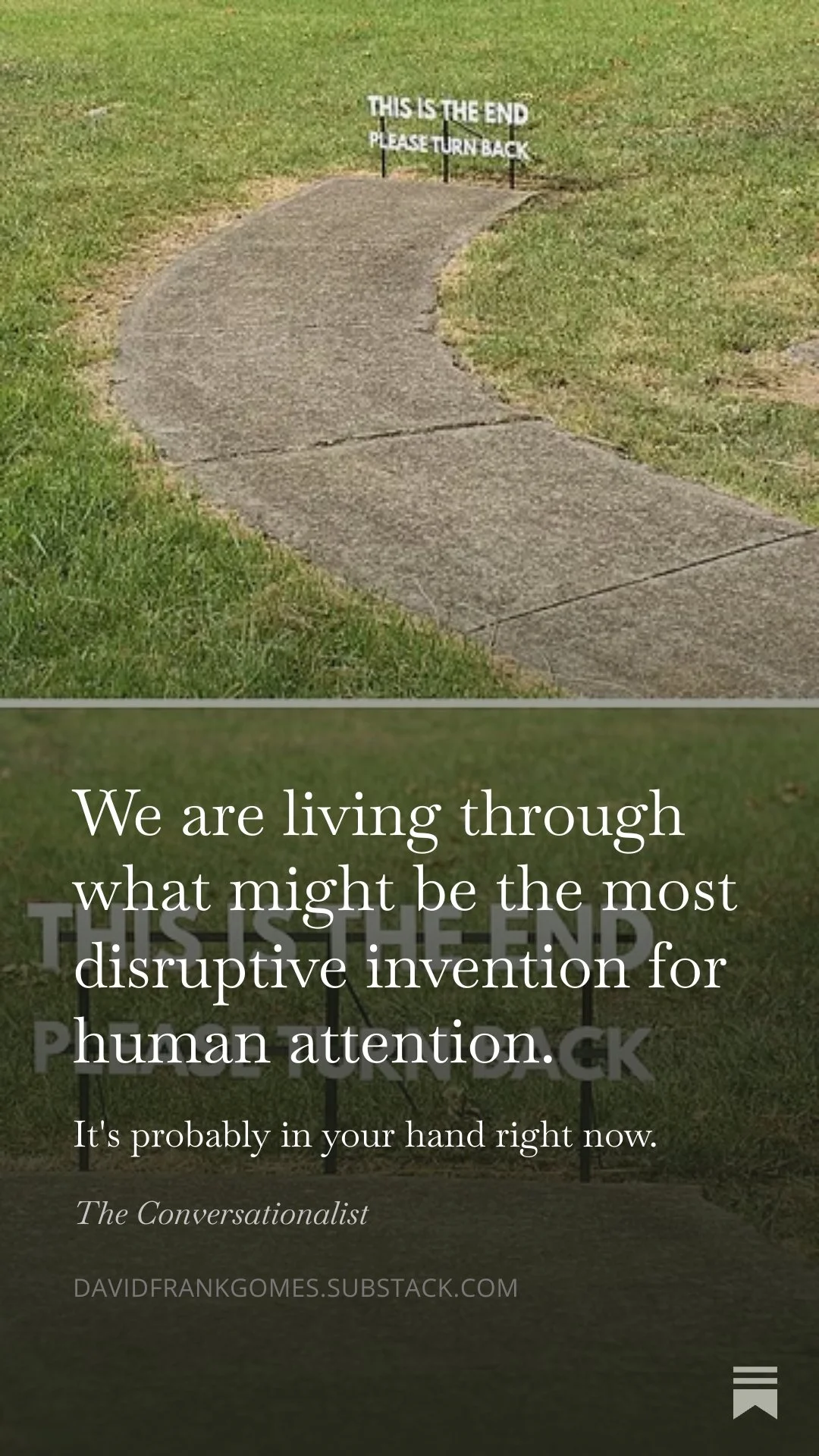 Stop Optimizing. Start Paying Attention."
