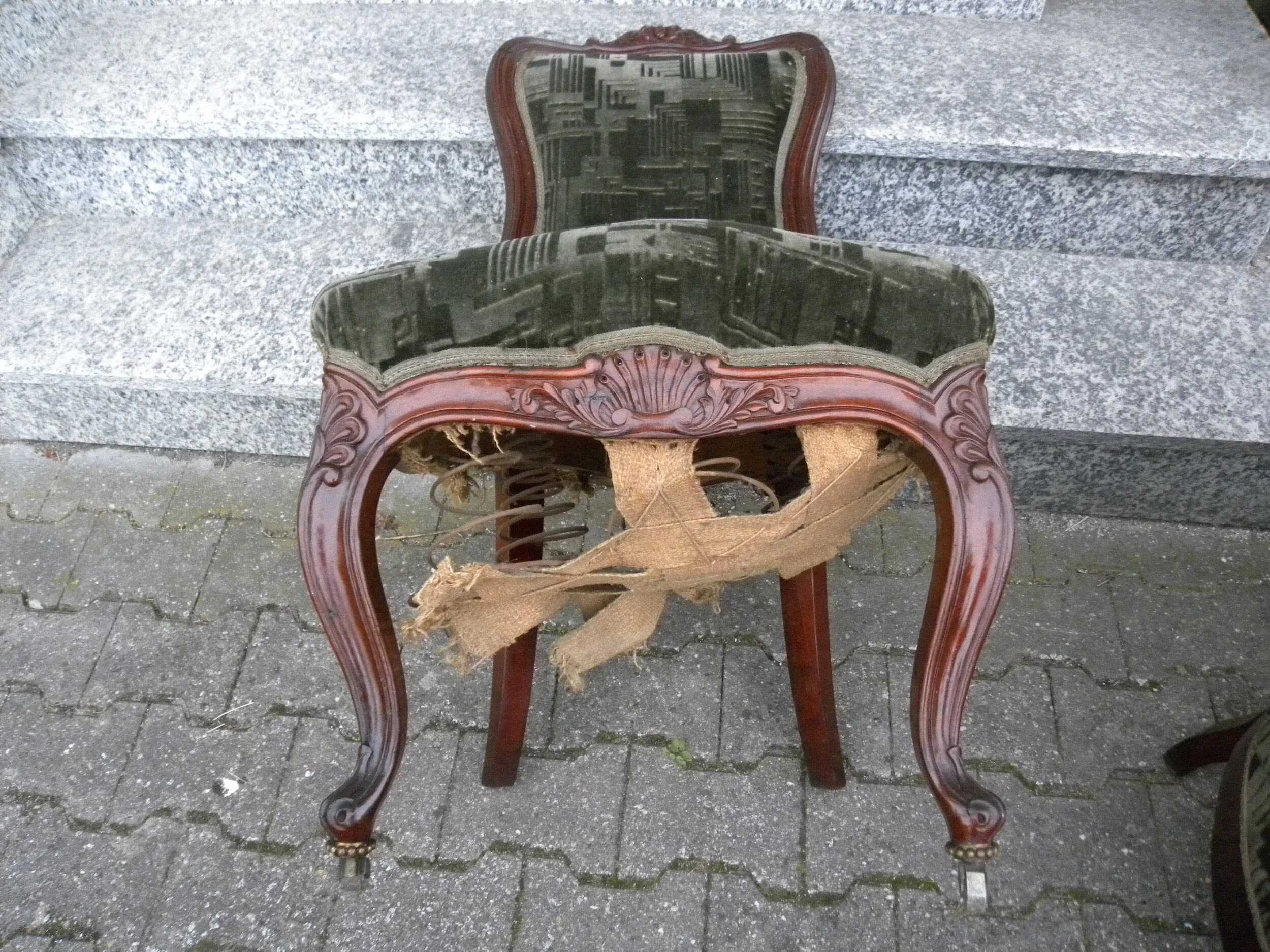 DSCN0488.JPG