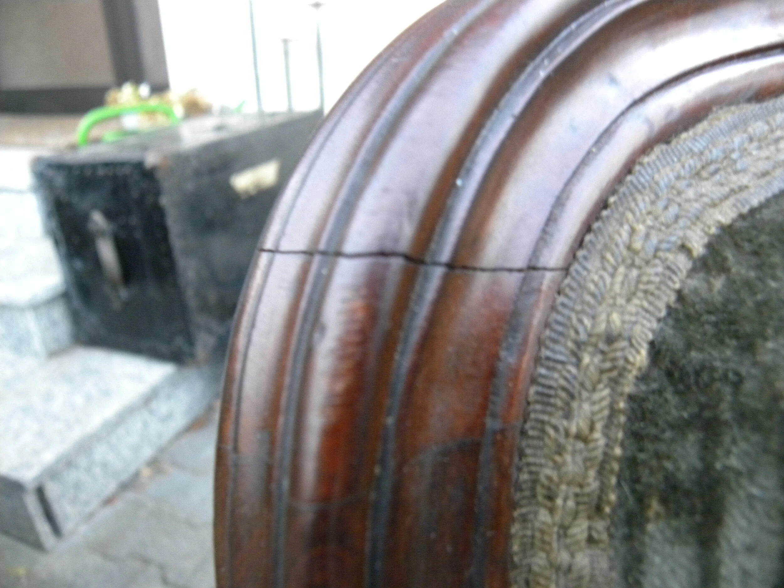 DSCN0501.JPG