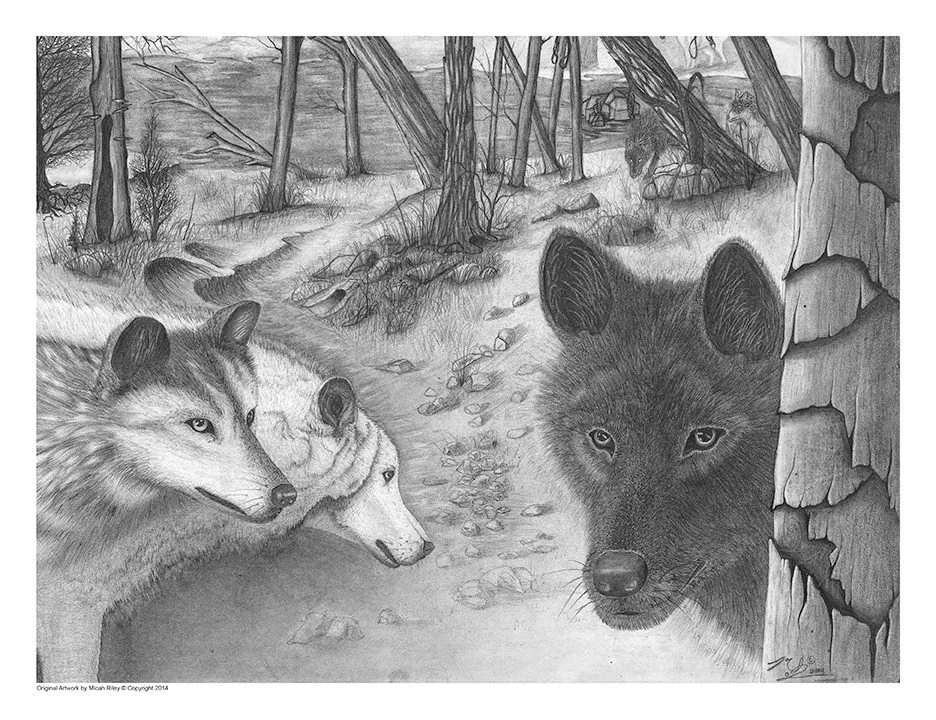 After School Sketching- 4 Week Course
