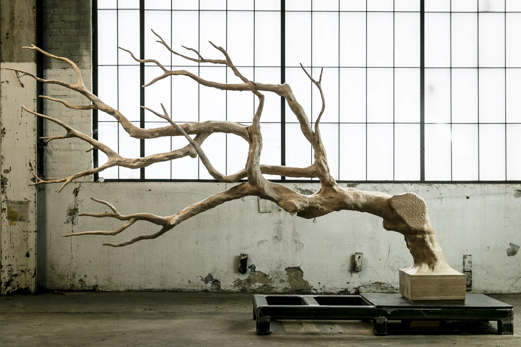 Second Nature by Sebastian Errazuriz