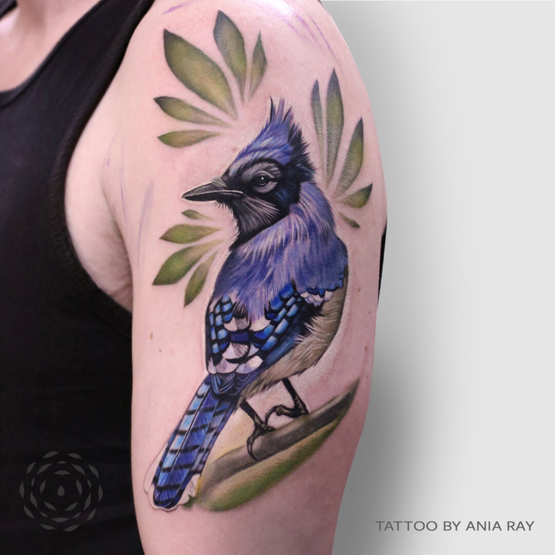 Loved tattooing this Blue Jay and Im stoked on how it turned out Very  happy with the piece Thanks Ashley  By Lost Lantern Tattoo Co  Facebook