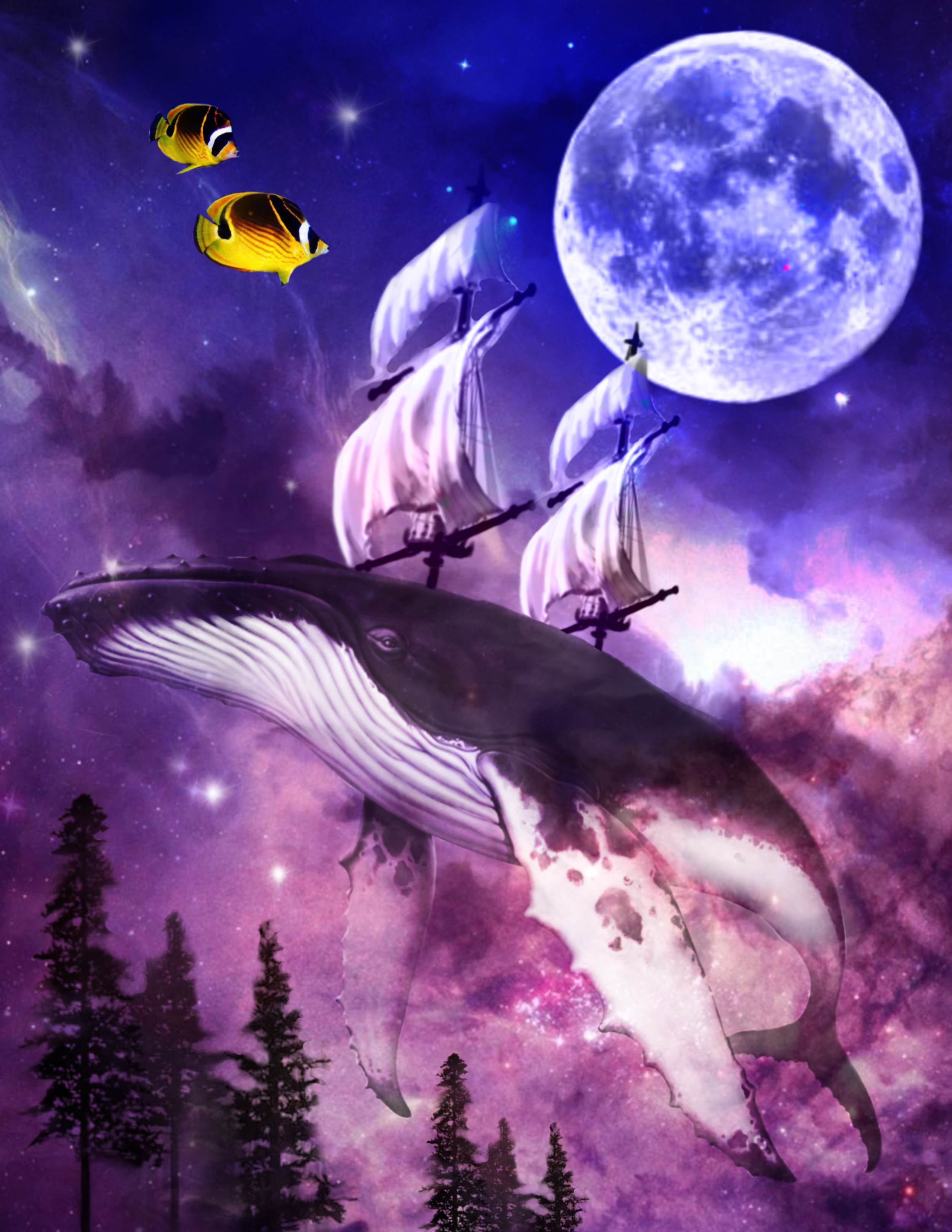 Sailor’s dream.PNG