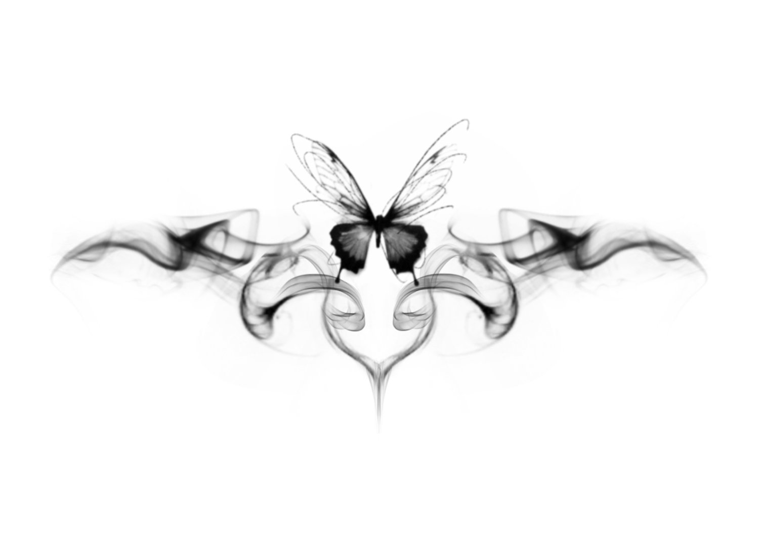 Butterfly in Flight - by Kylah Chan — Liquid Amber Tattoo