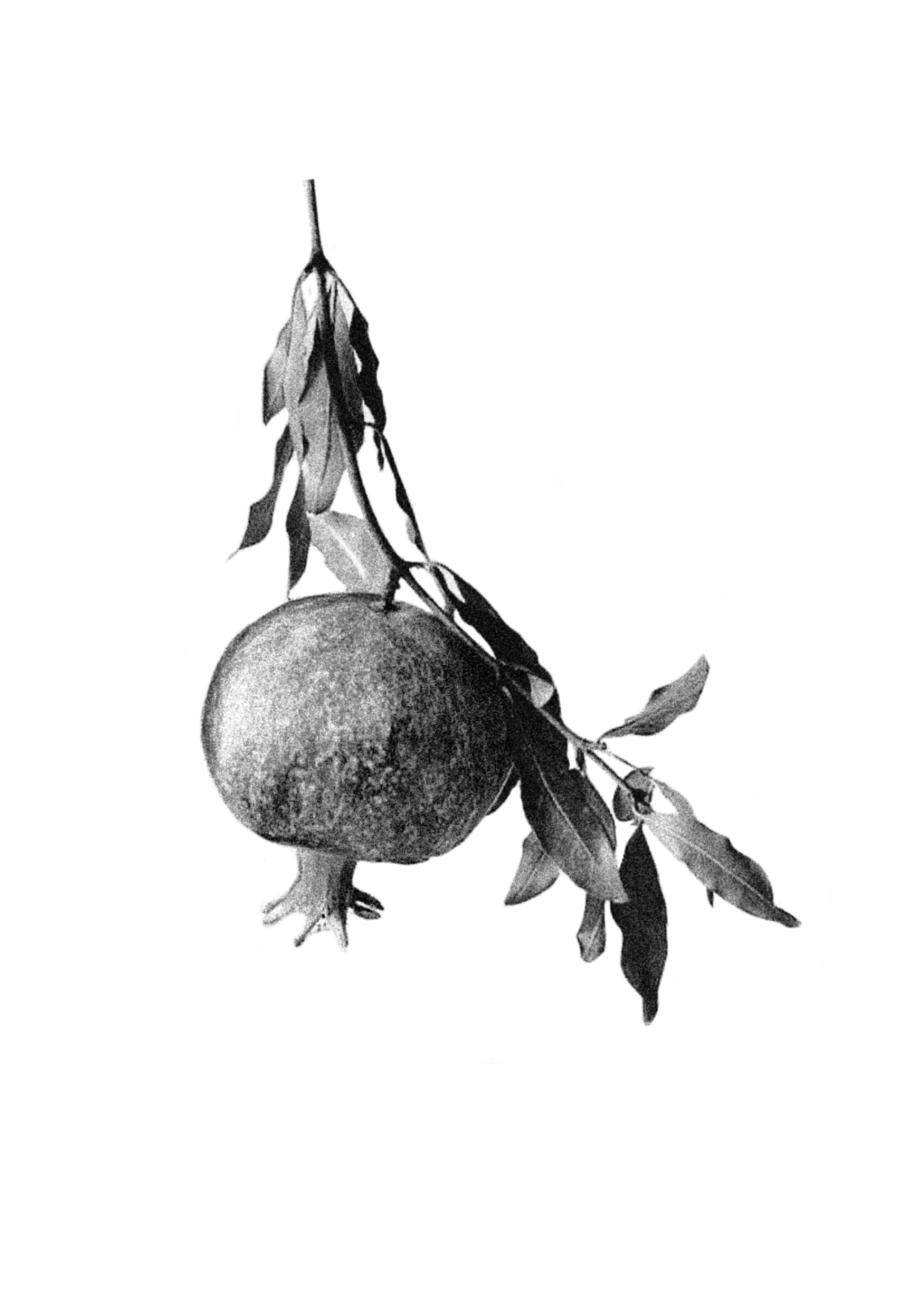 Unbenanntes_Projekt 5.jpg