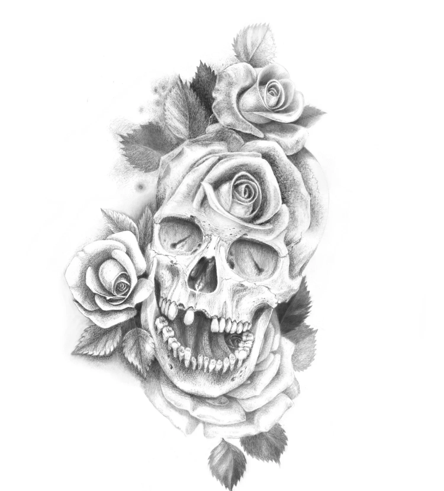 skull and roses miranda.webp