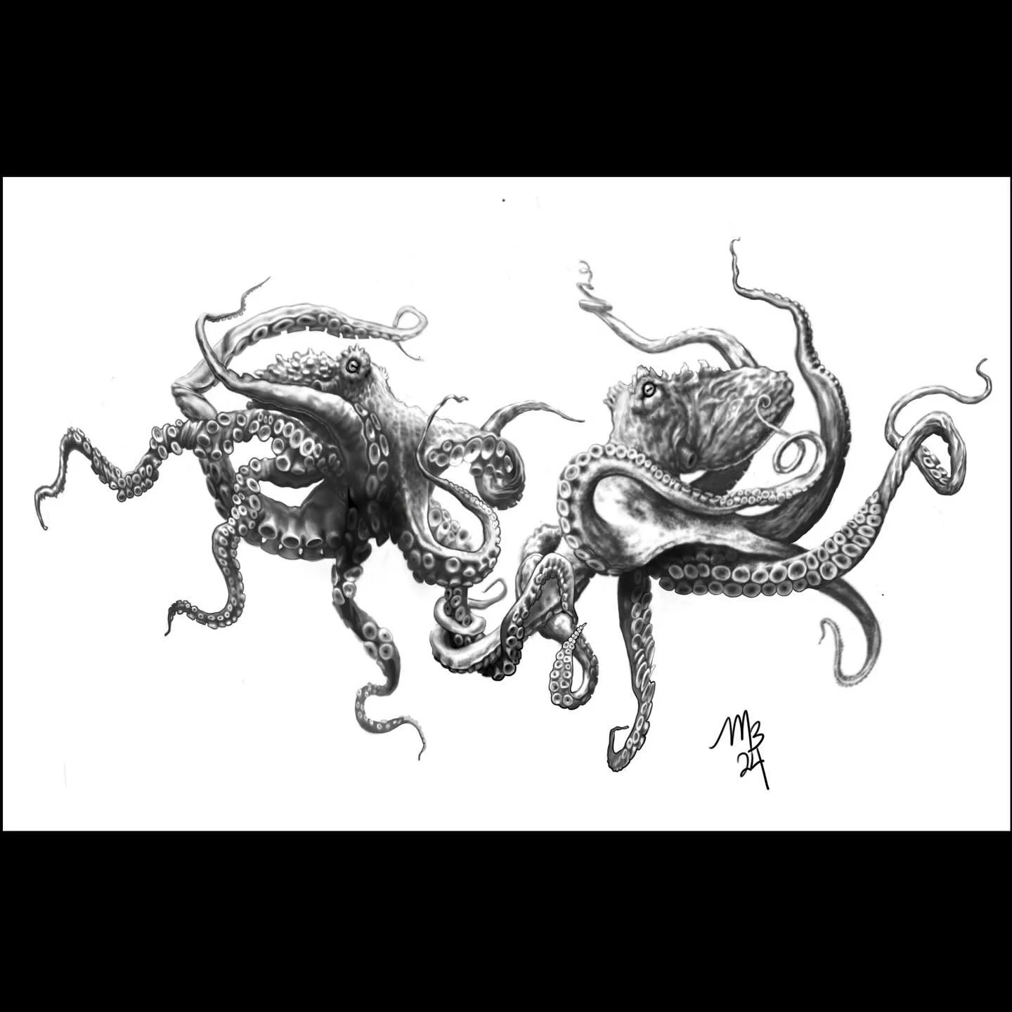 Dancing Octopi - by Miranda Boire