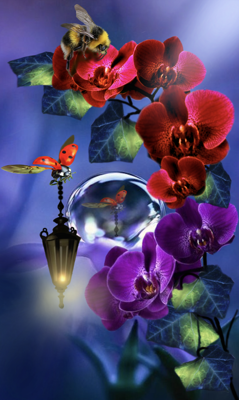 carrying the light flash.webp