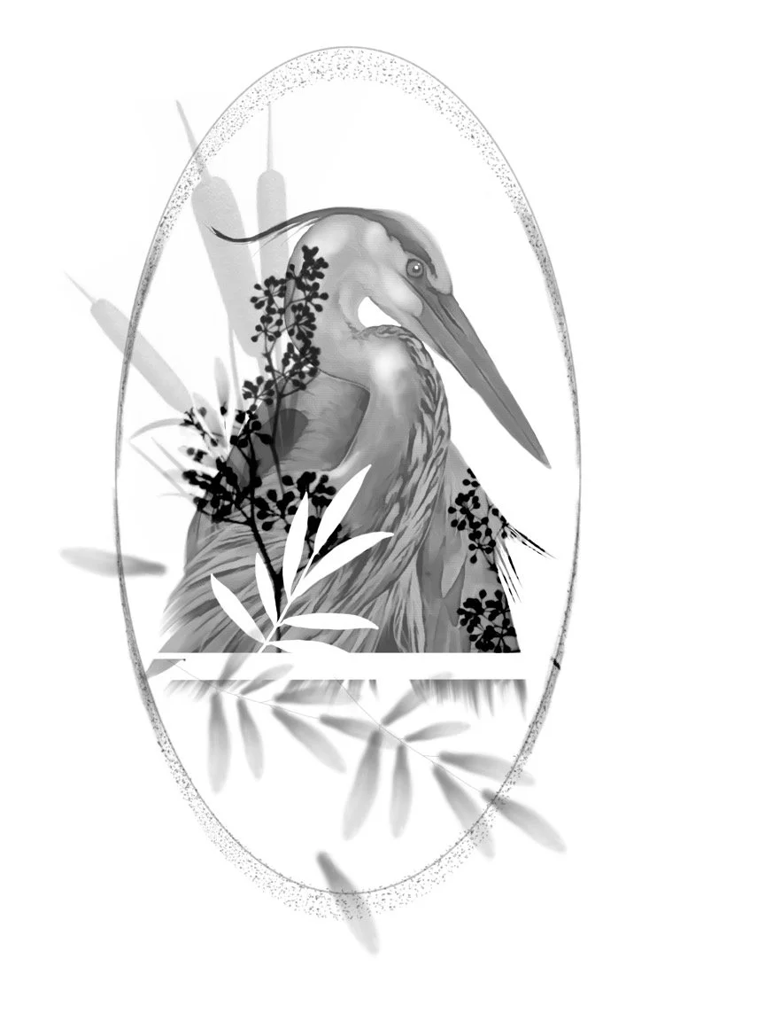 Flash heron.jpg