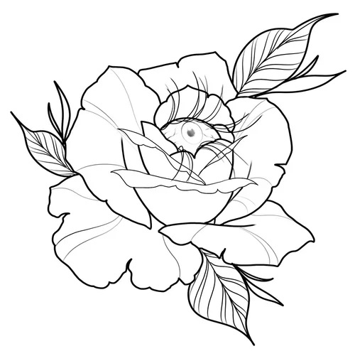 Eye in a rose.webp