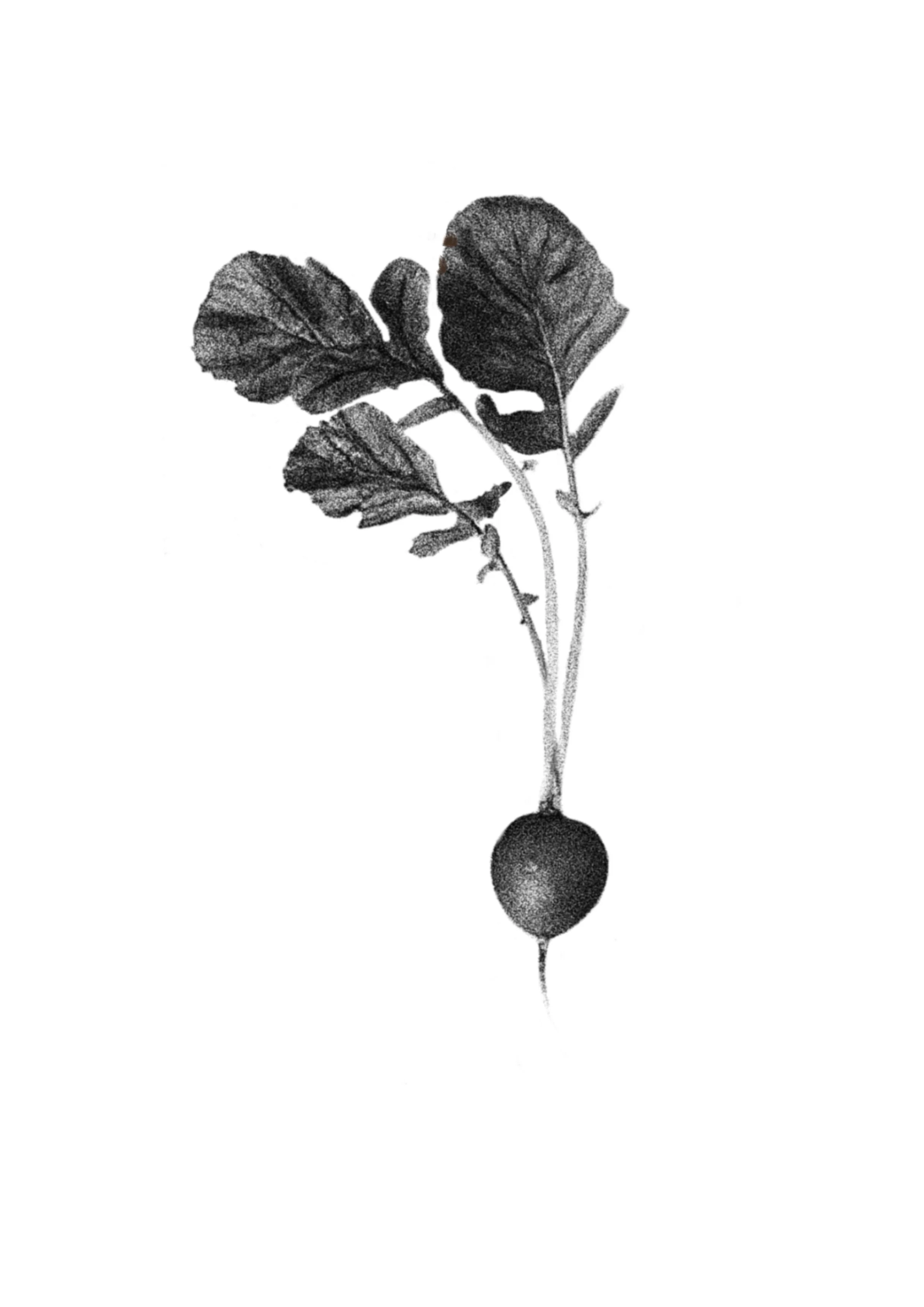 Unbenanntes_Projekt 2.jpg