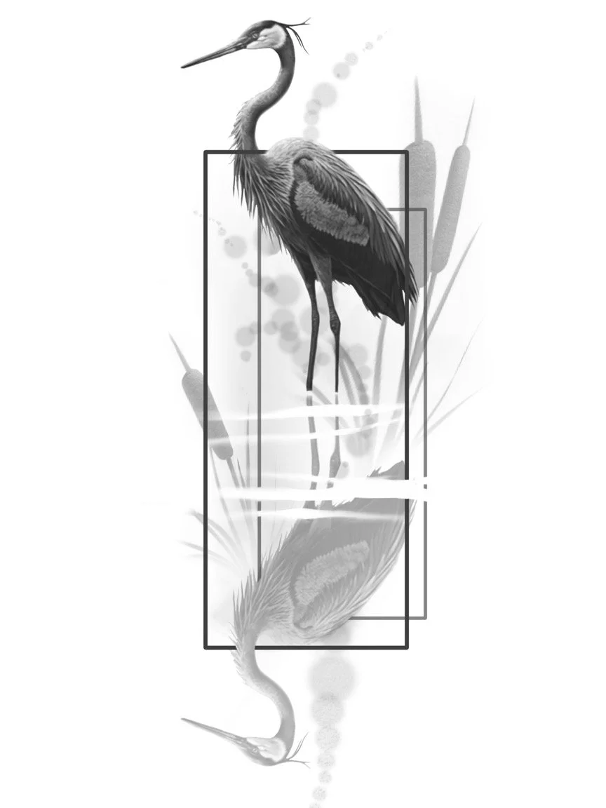 Flash Heron reeds (1).jpg