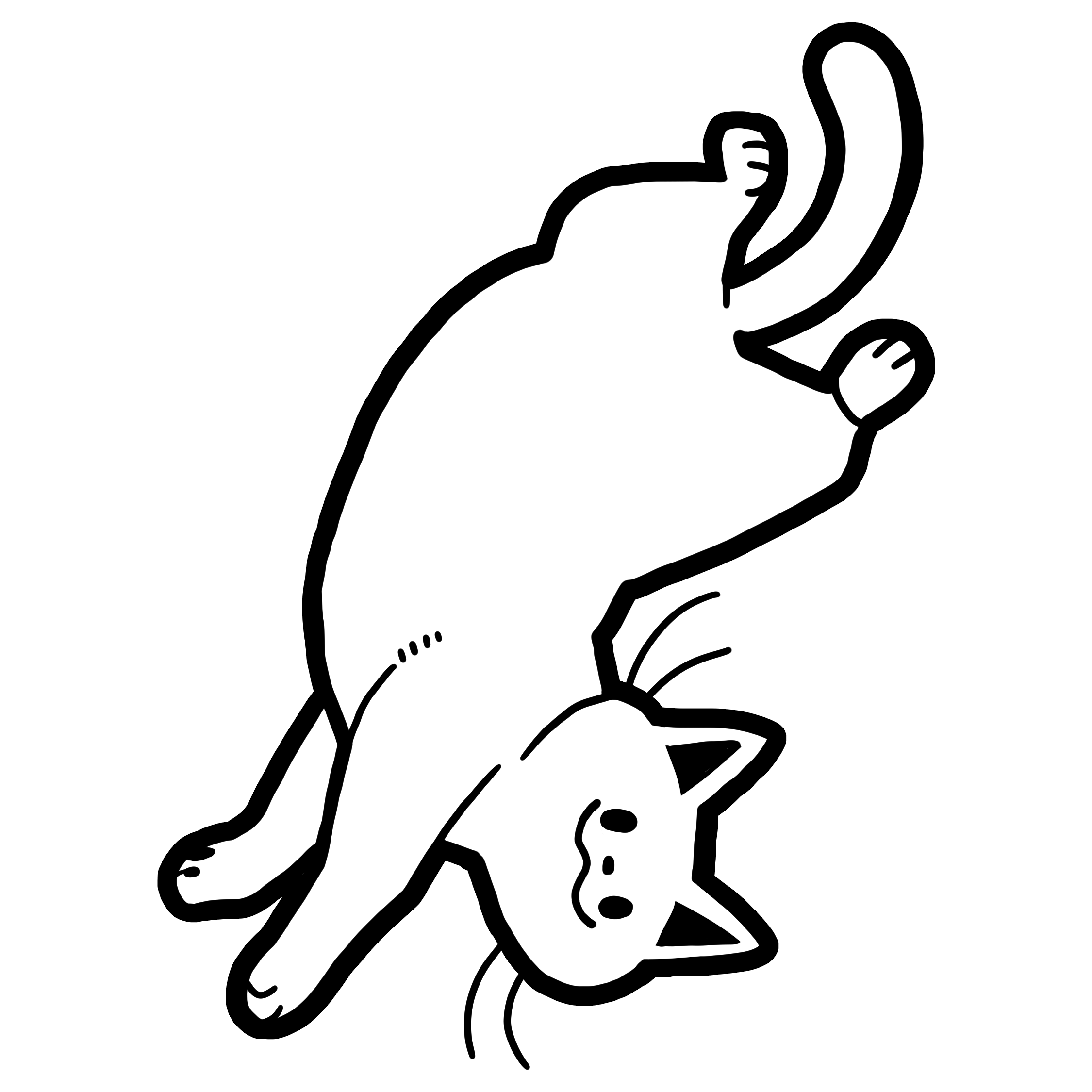 cat-03.png