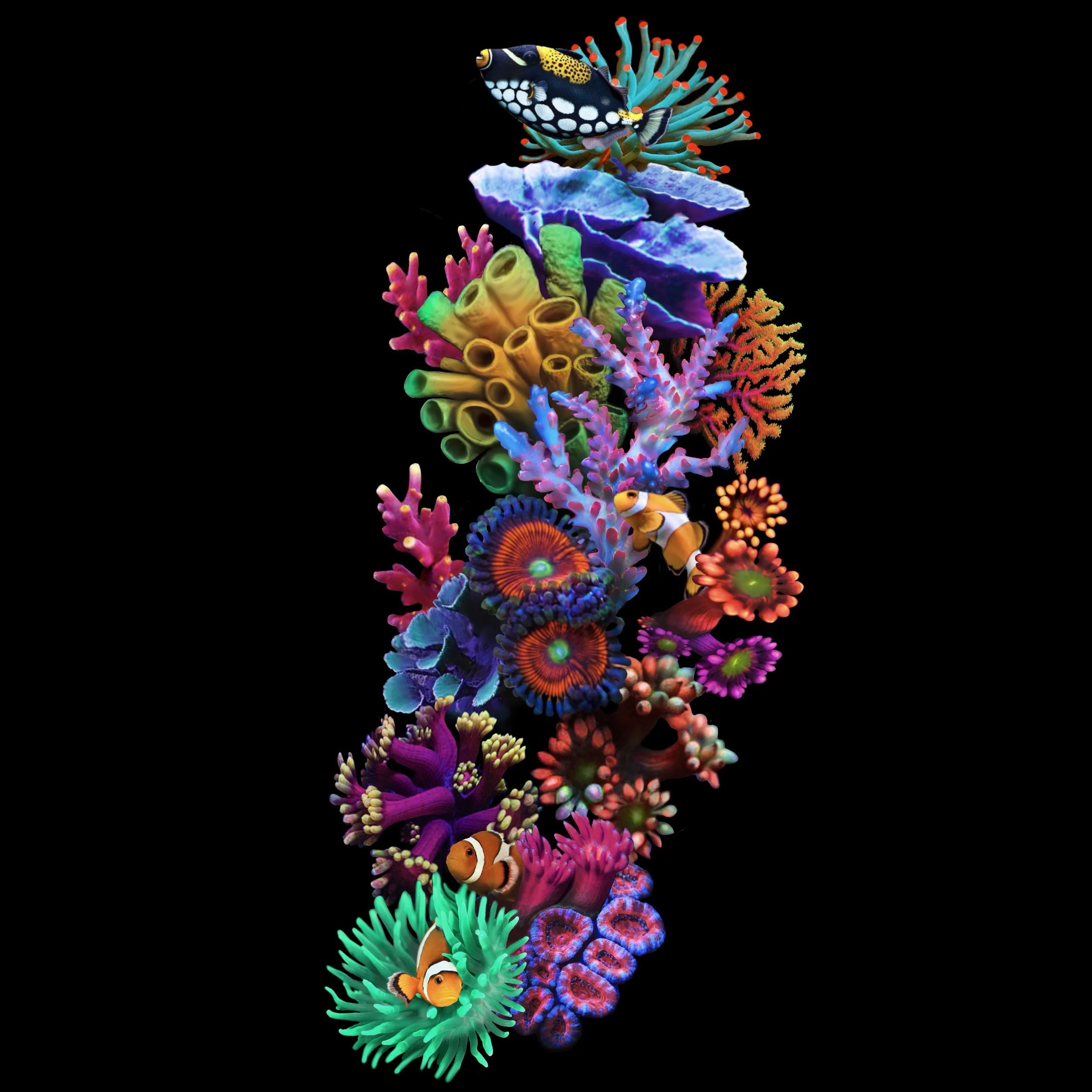 image_123650291 (2).JPG