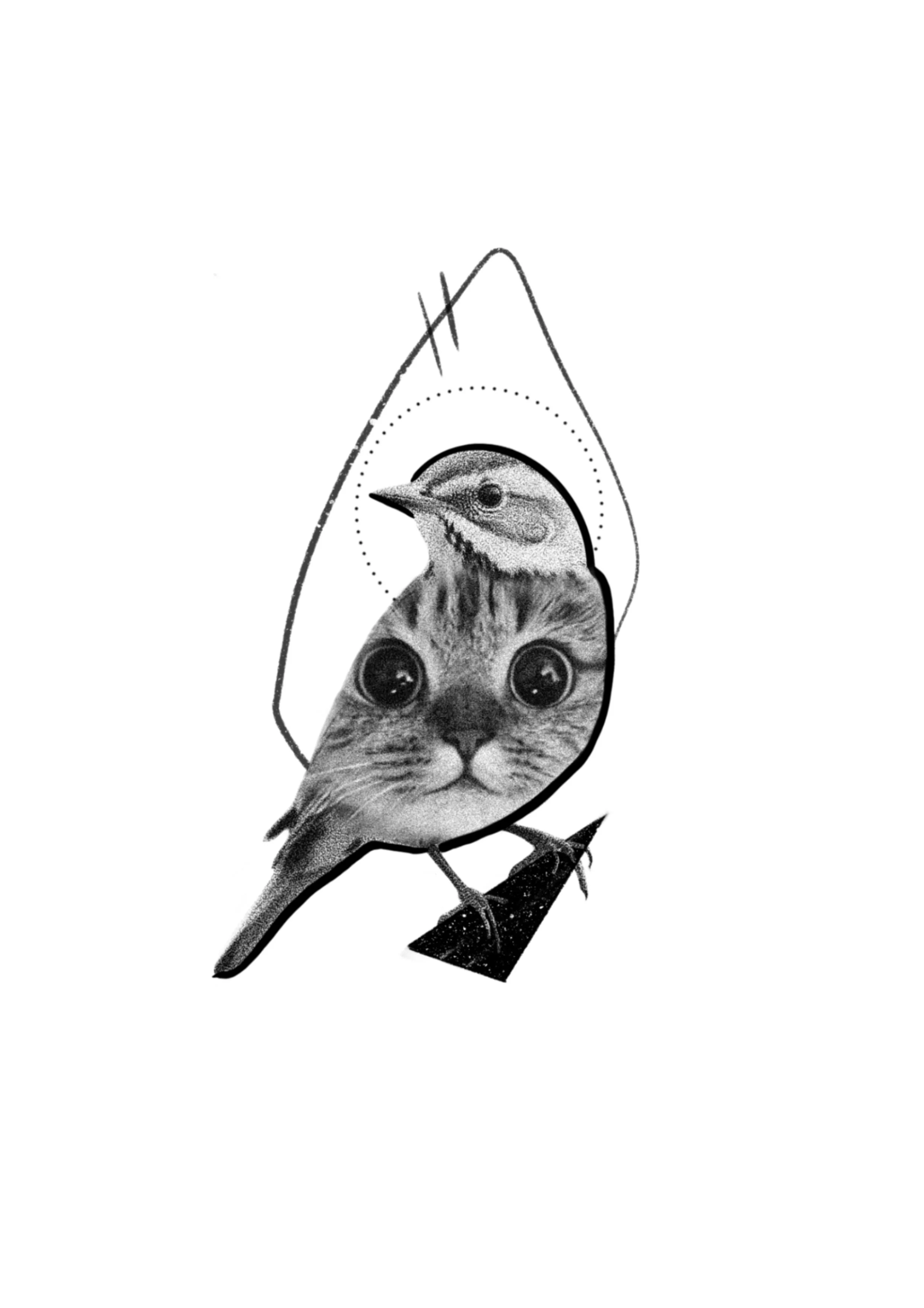 Unbenanntes_Projekt 10.jpg