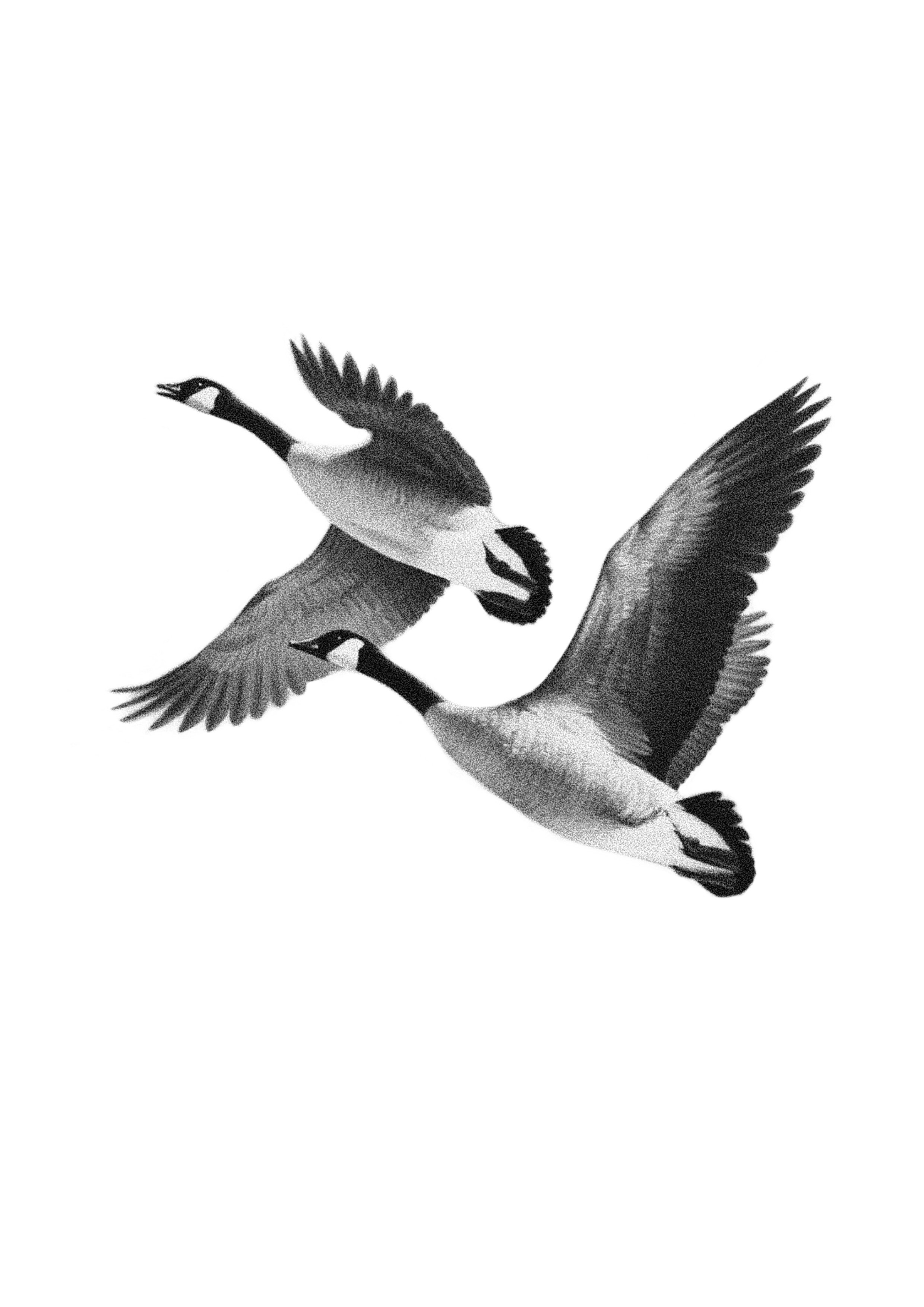 Unbenanntes_Projekt 15.jpg