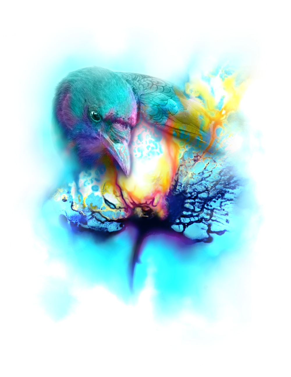 crow burst flash justina.webp